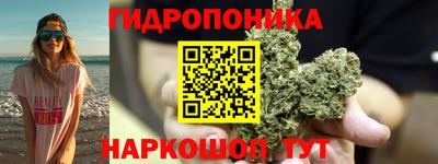 шишки Балашиха
