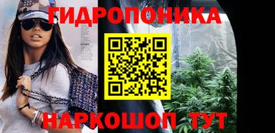 шишки Балашиха