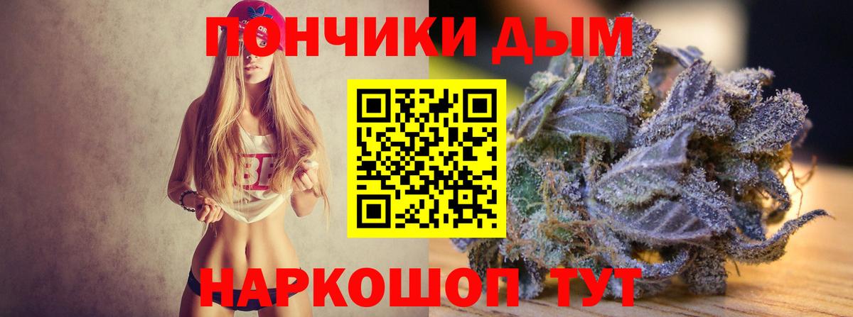 Бошки марихуана ГИДРОПОН Ессентуки
